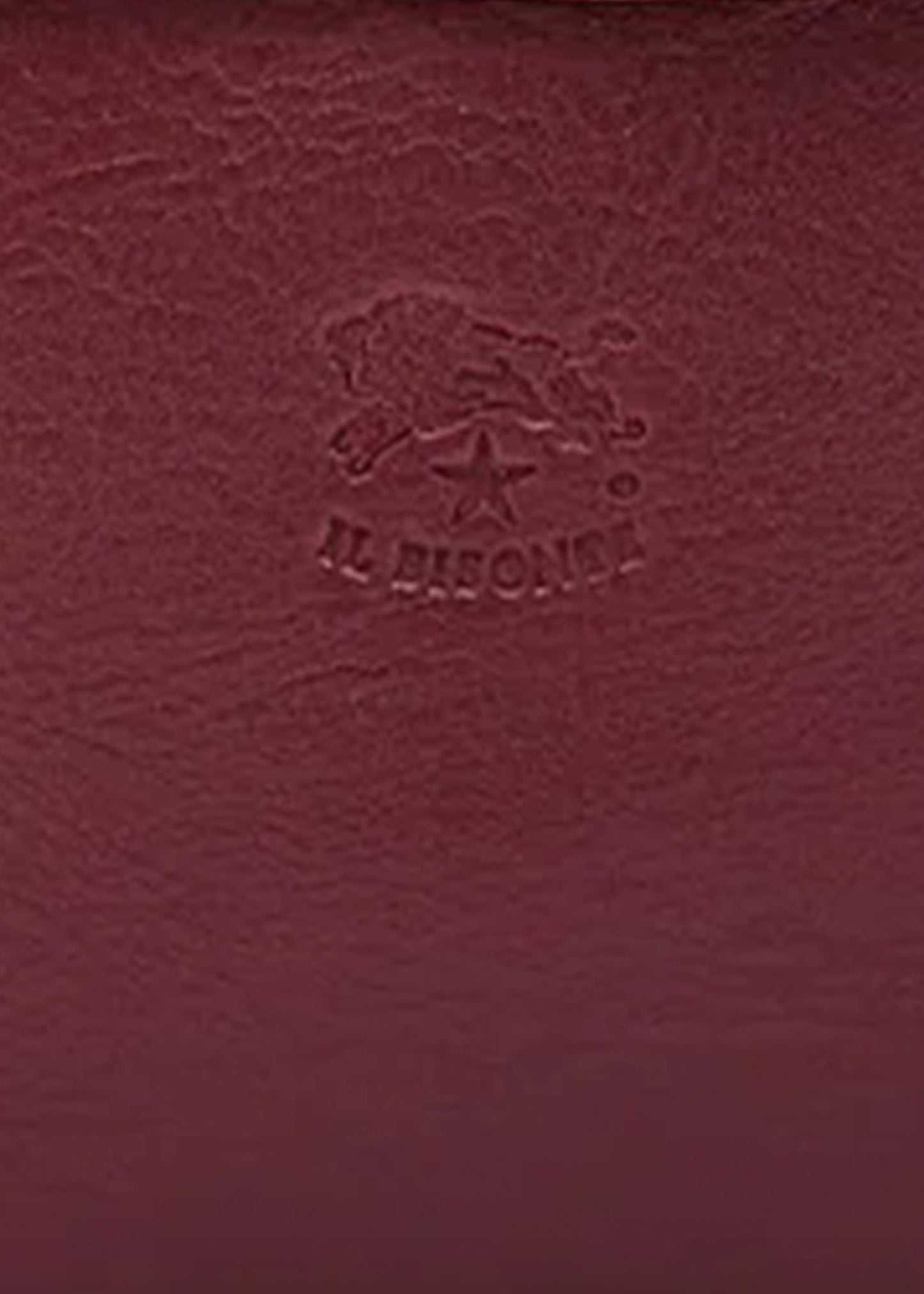 Il-Bisonte-Archivo-Crossbody-Bag