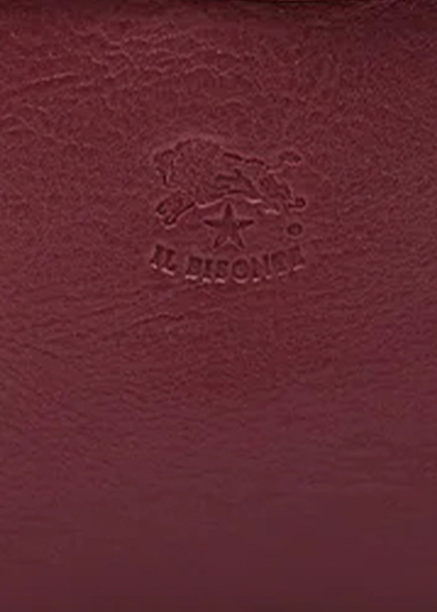 Il-Bisonte-Archivo-Crossbody-Bag