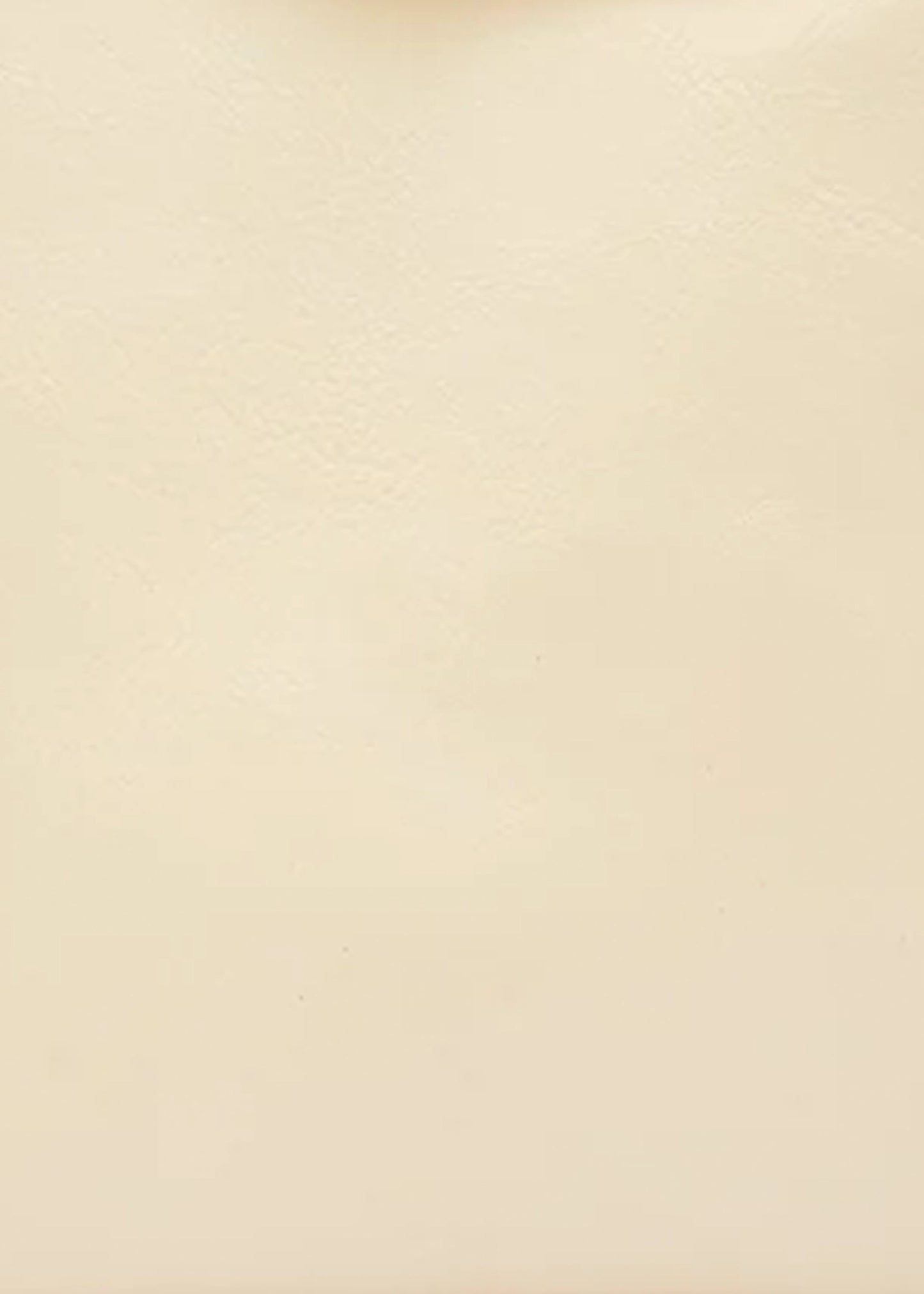 Il-Bisonte-Manuela-Clutch-bianco