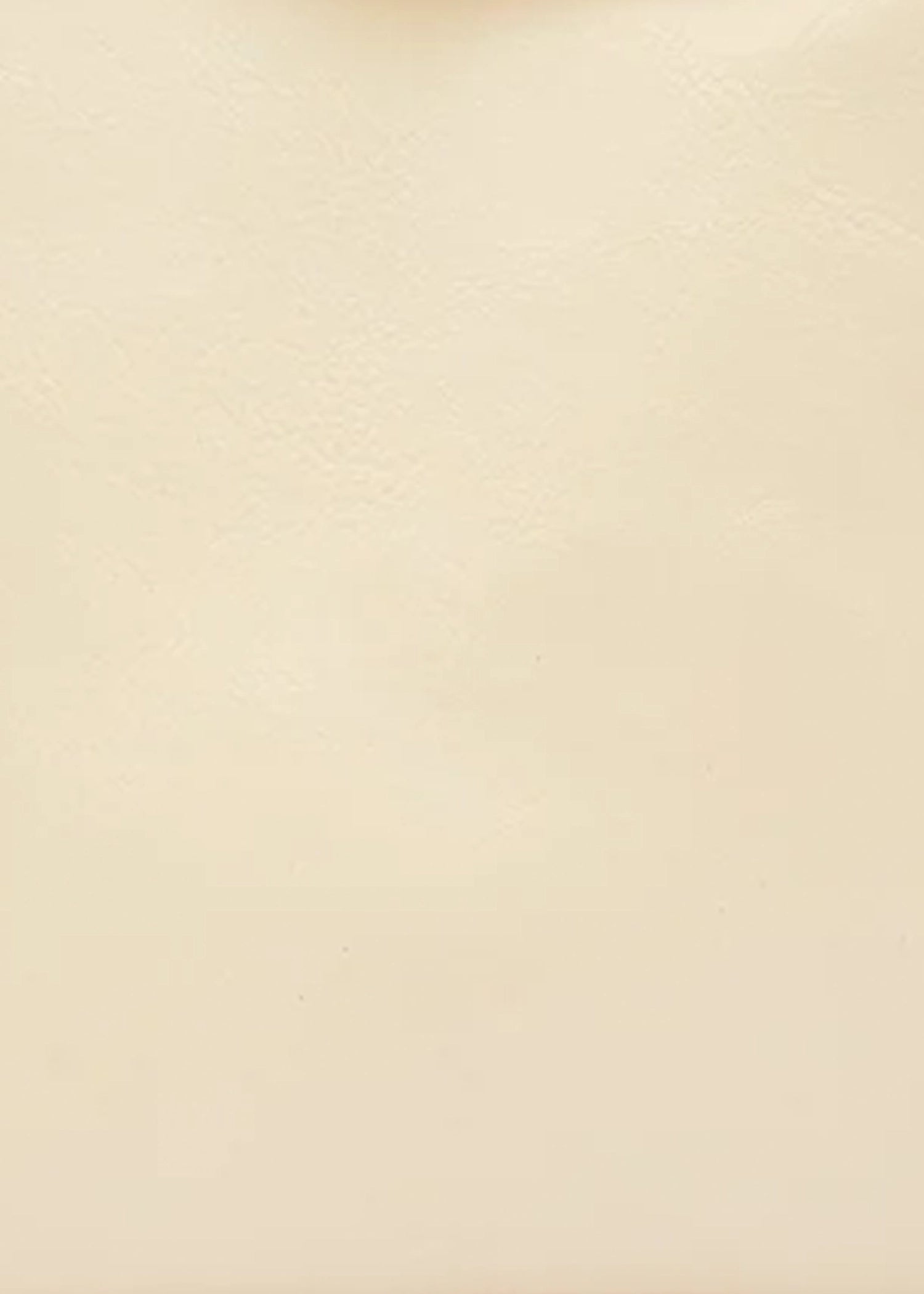 Il-Bisonte-Manuela-Clutch-bianco