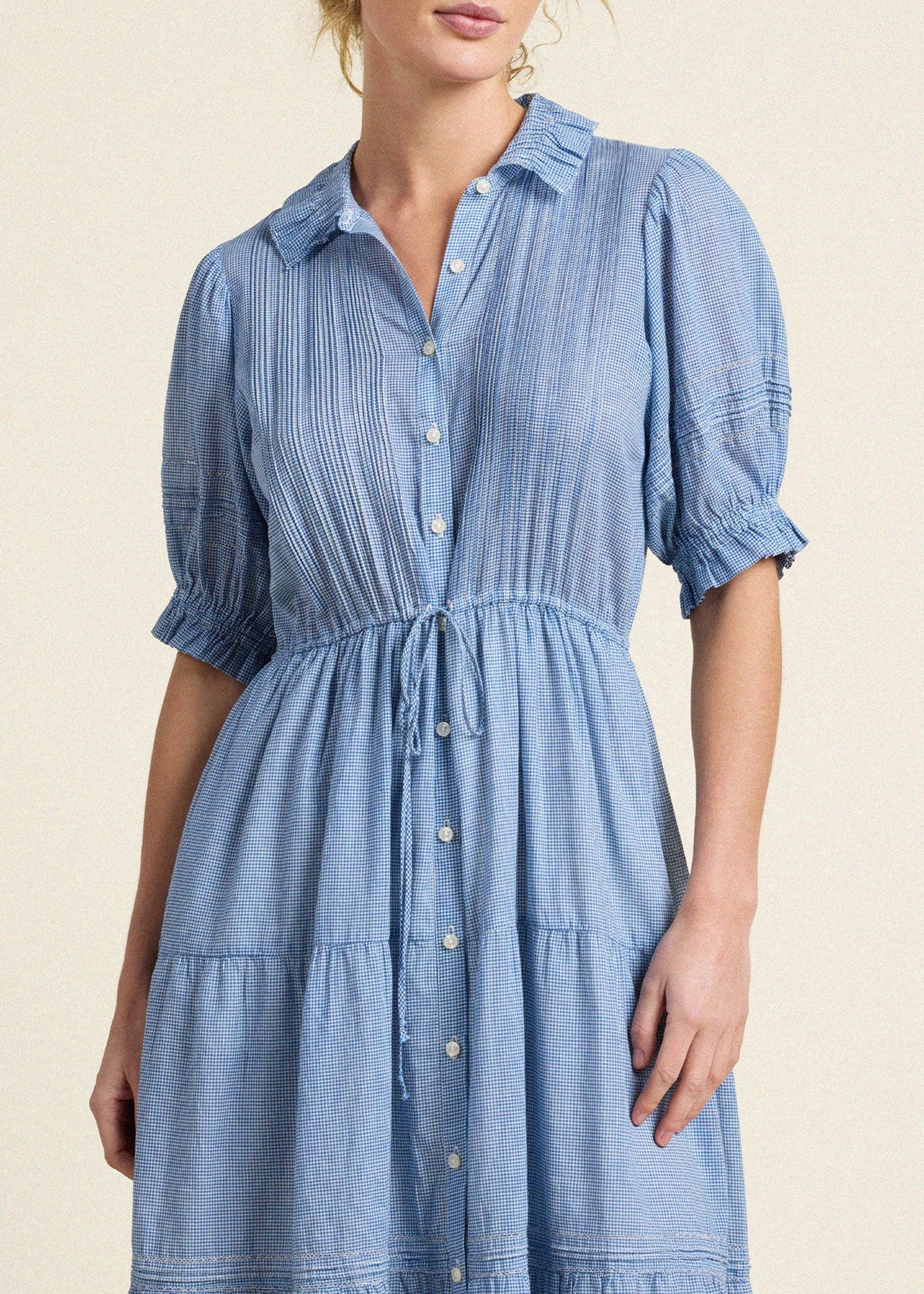 Trovata-Elodie-Dress-Seabrook-Gingham
